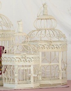 Bird Cages white background