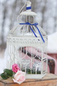 Birch & Bunny Weddings & Events' Bird Cage, Mercury Glass
